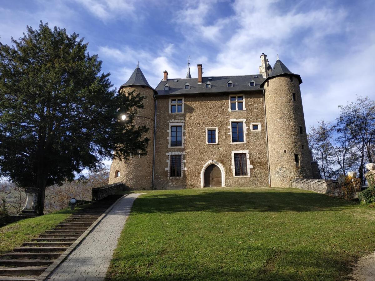 Appartement Chateau Uriage-Chamrousse Saint-Martin-d'Uriage Экстерьер фото